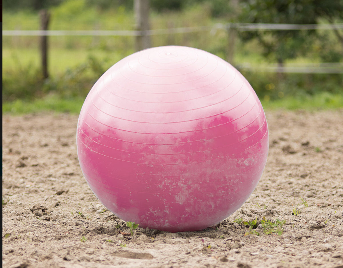 QHP Horse Paddock Ball