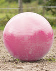 QHP Horse Paddock Ball