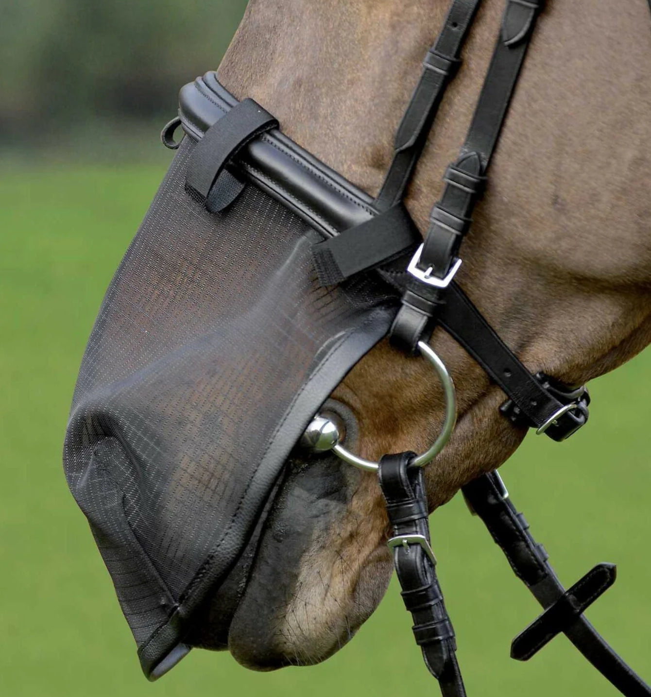 Waldhausen Nose Net - Horse & Hound Tack Shop 