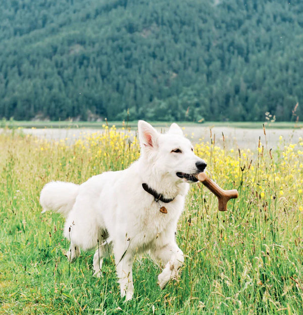 Benebone Durable Dog Chews