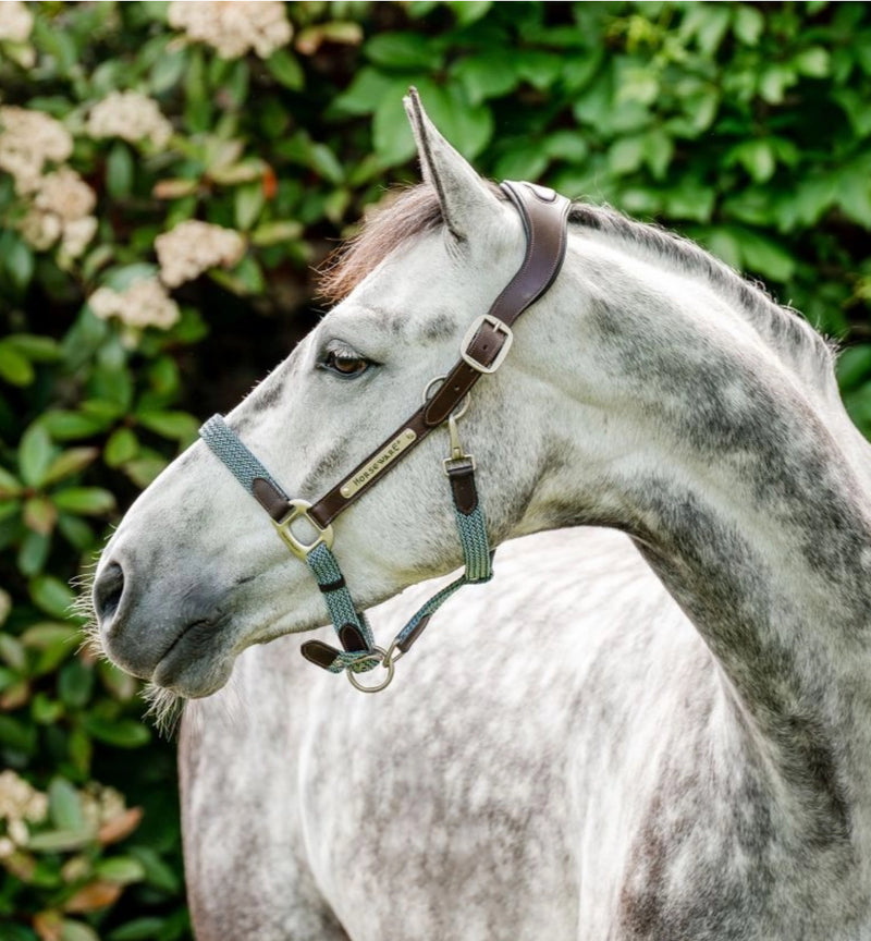 Horse & Hound Tack Shop & Pet Supply | Midhurst, Ontario