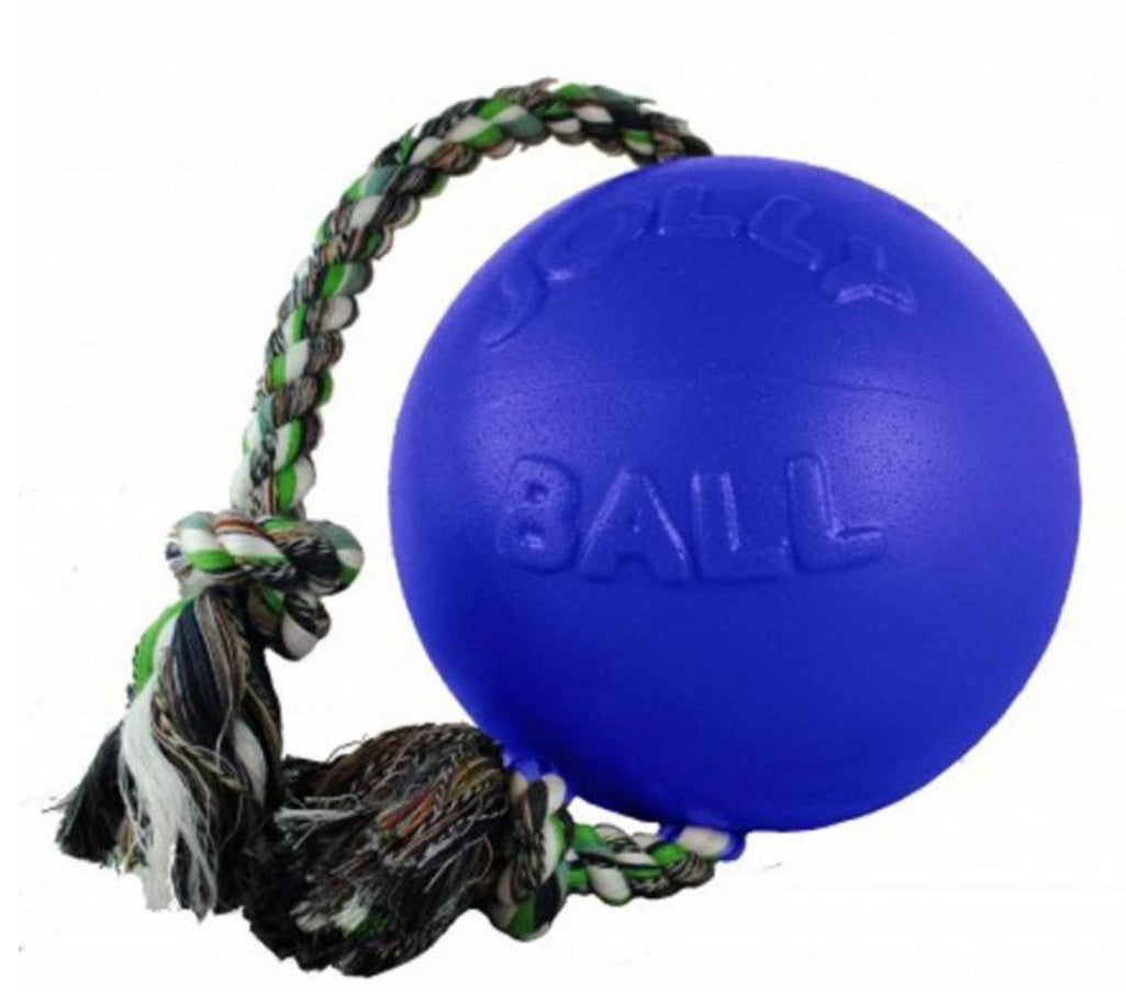 Jolly Pet Romp-N-Roll Jolly Ball