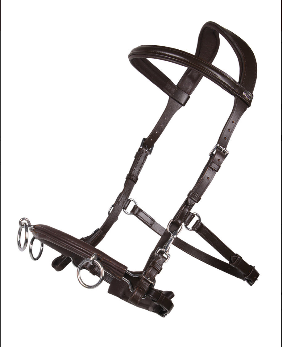 QHP Leather Lunging Cavesson