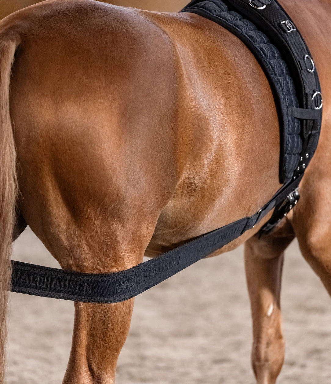 Waldhausen Body Bandage - Horse &amp; Hound Tack Shop 