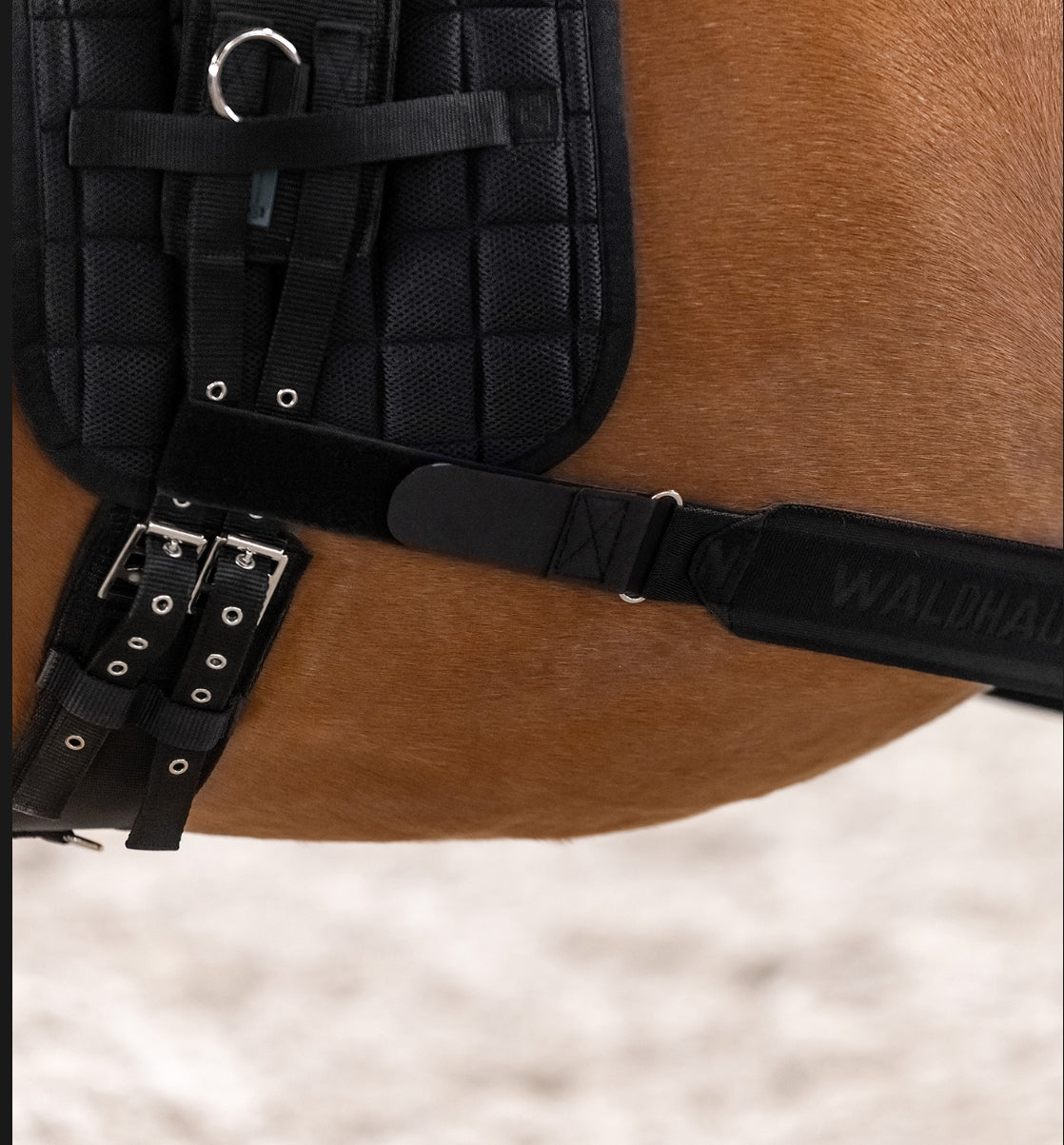 Waldhausen Body Bandage - Horse &amp; Hound Tack Shop 
