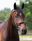 QHP Leather Lunging Cavesson