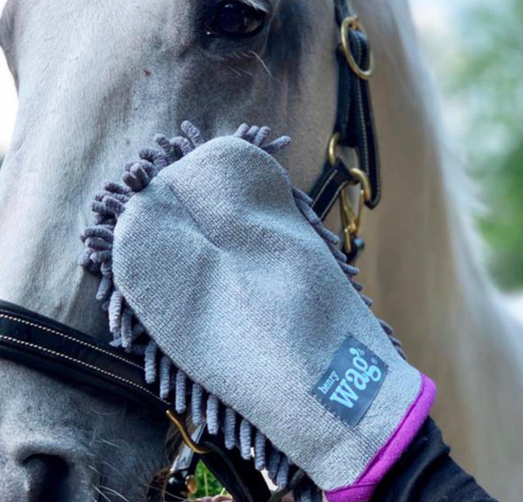 Henry Wag Equine Drying Glove