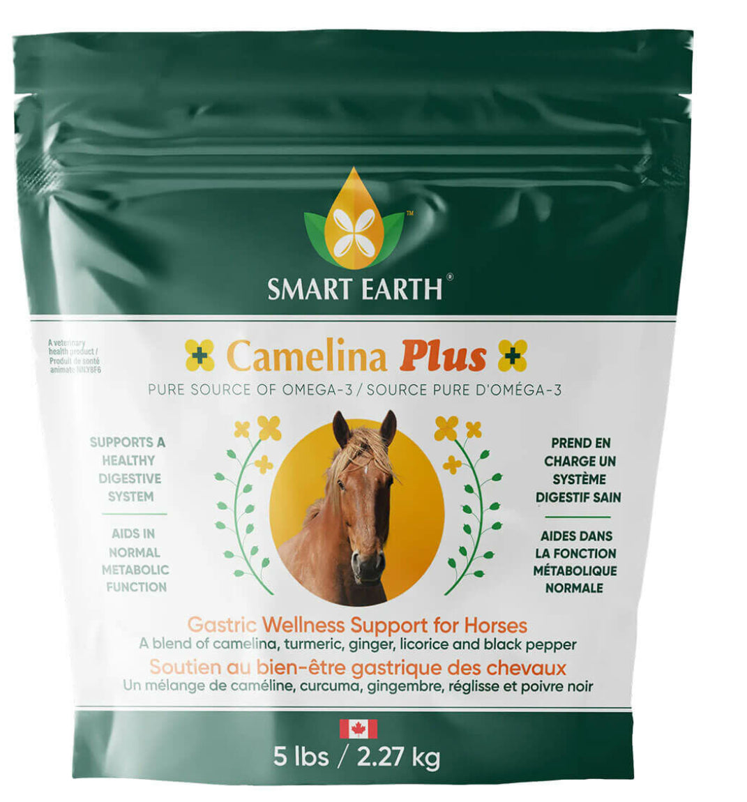 Smart Earth Camelina Plus - Gastric Wellness 2.27kg - Horse & Hound Tack Shop 
