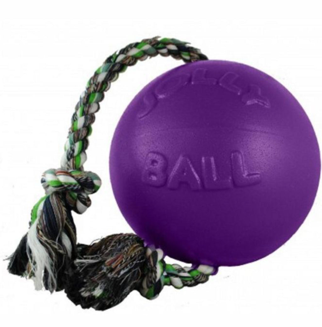 Jolly Pet Romp-N-Roll Jolly Ball