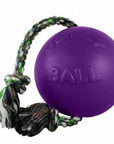 Jolly Pet Romp-N-Roll Jolly Ball