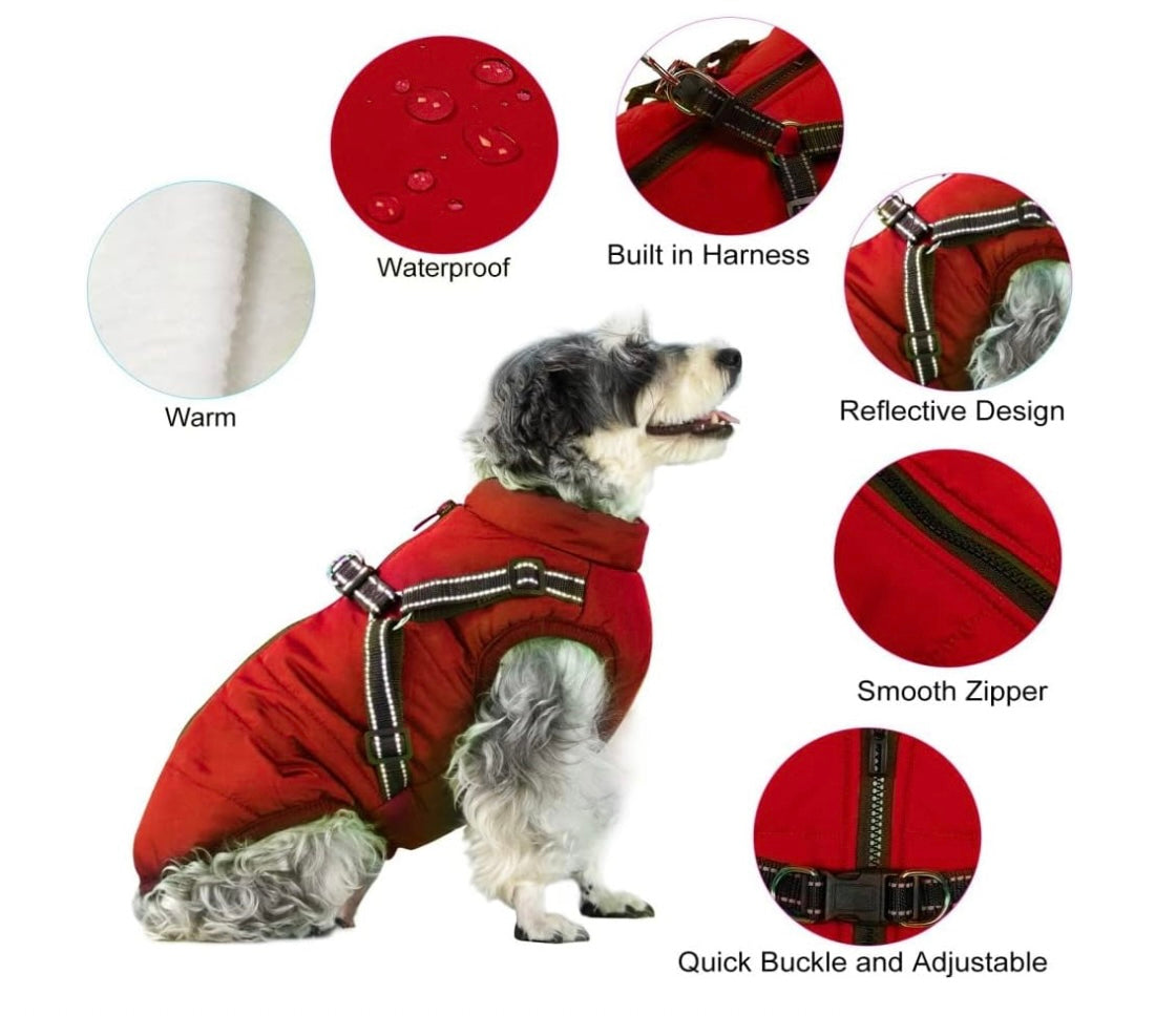 Dog harness and coat combined best sale