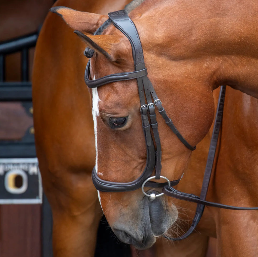 Shires Rapida Velociti Ergonomic Caveson Bridle