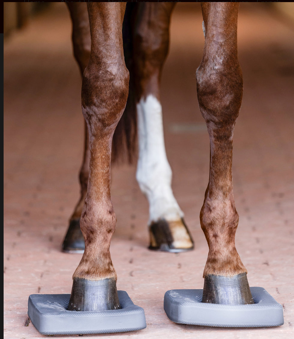 Waldhausen Health + Care Balance Pads - Horse &amp; Hound Tack Shop 