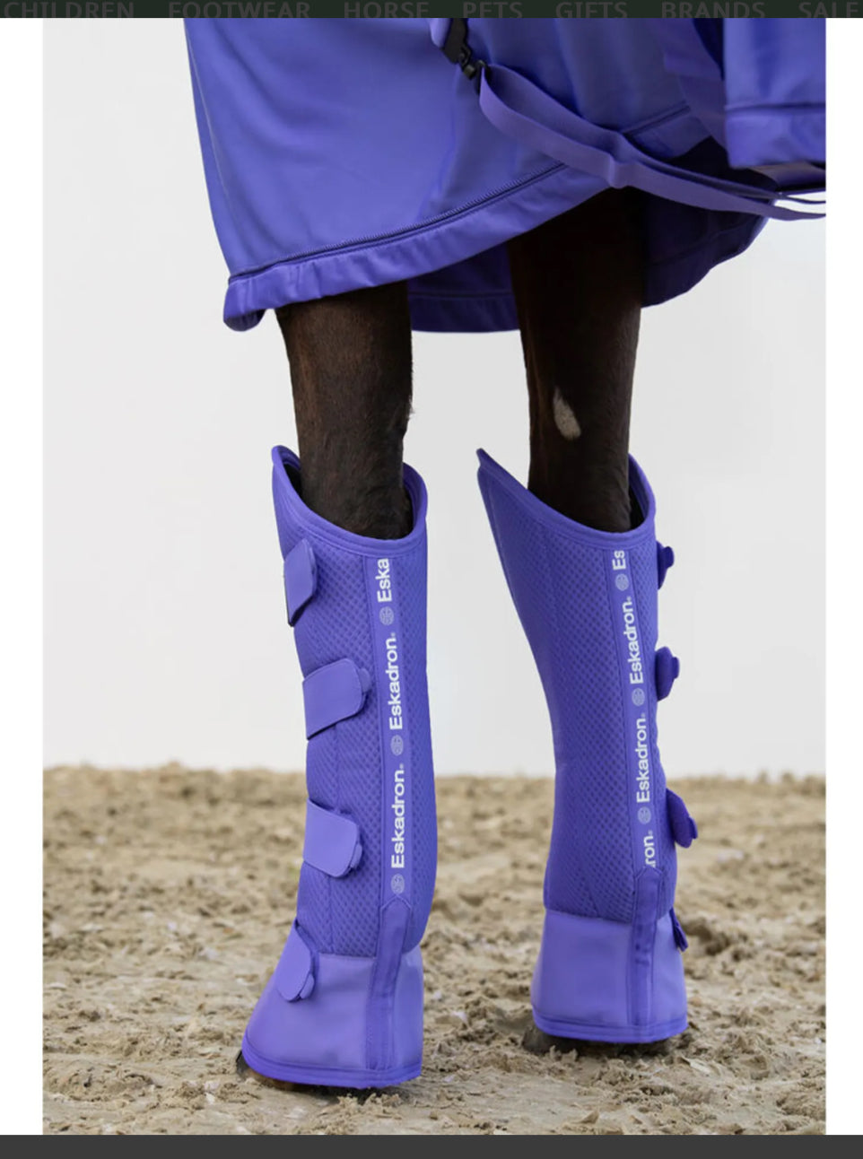Eskadron Travel Boots - Dynamic ‘24 collection - Horse & Hound Tack Shop 