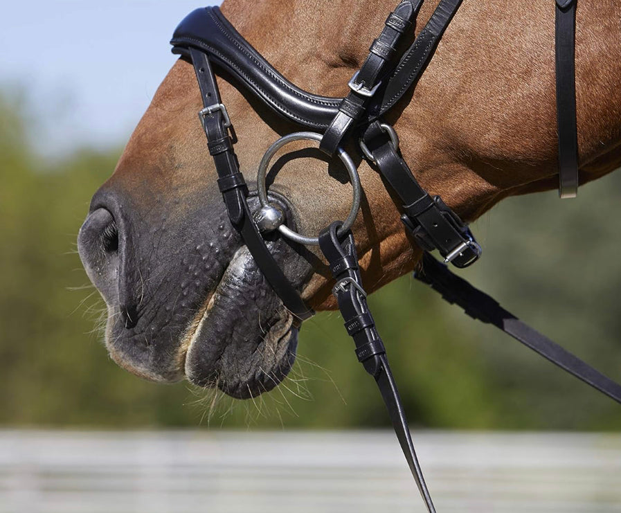 Fine Used Kieffer Anatomic Snaffle Bridle