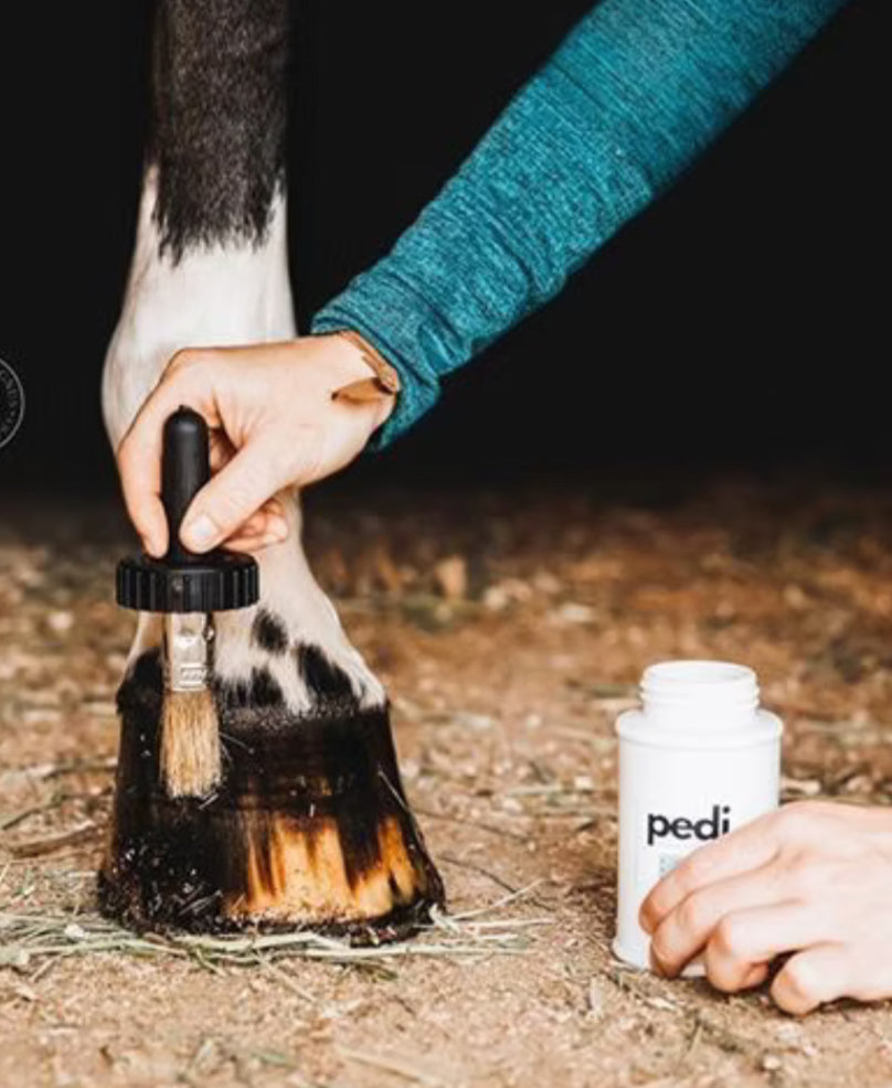 Pedi. A Hoof Conditioner - Horse & Hound Tack Shop 