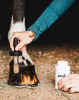 Pedi. A Hoof Conditioner - Horse & Hound Tack Shop 
