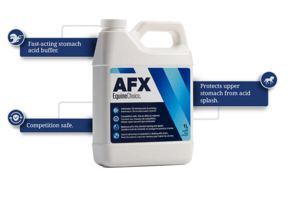 Equine Choice AFX - Horse & Hound Tack Shop 