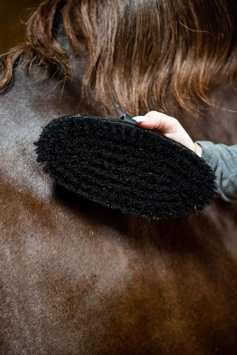 HAAS Diamond Wurzel (Root)Brush - Horse & Hound Tack Shop 