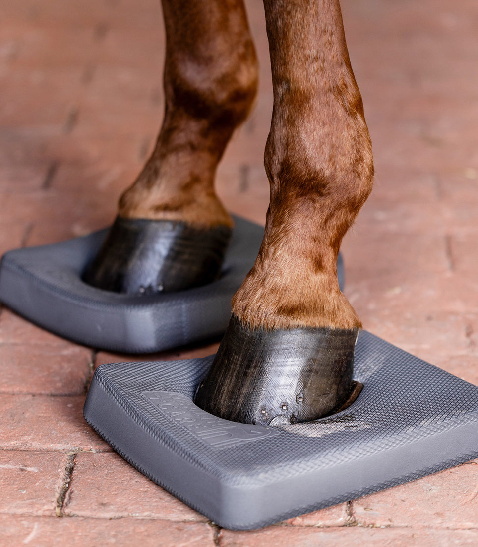 Waldhausen Health + Care Balance Pads - Horse &amp; Hound Tack Shop 