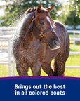 Farnam Vetrolin White 'N Brite - Horse & Hound Tack Shop 