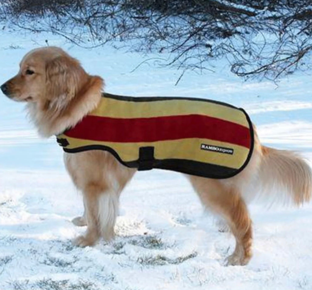 Horseware 2025 dog coat