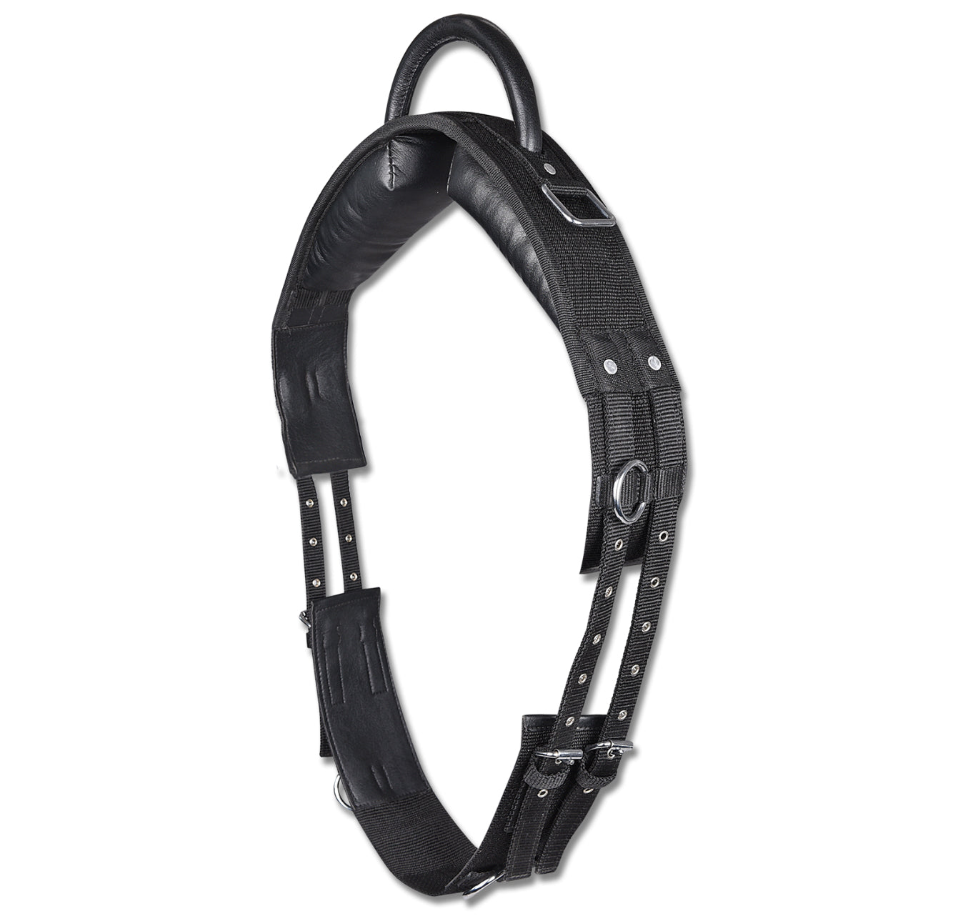 Waldhausen Lunging Surcingle with Handle - Horse &amp; Hound Tack Shop 