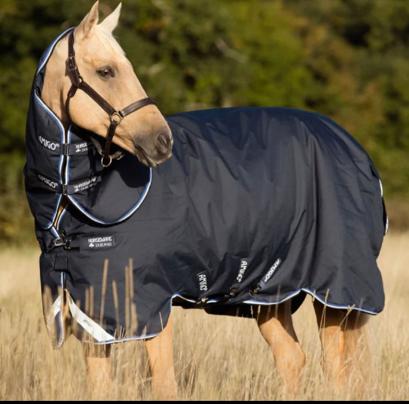 Horseware Amigo® Bravo 12 Plus Turnout Sheet (Lite 0g) Discontinued Colour - Horse & Hound Tack Shop 