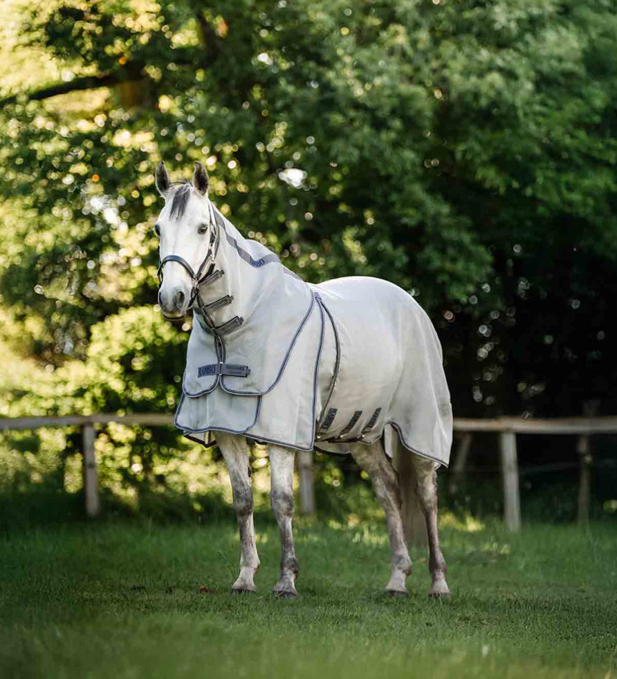 Rambo Optimo Protector Plus - Horse & Hound Tack Shop 