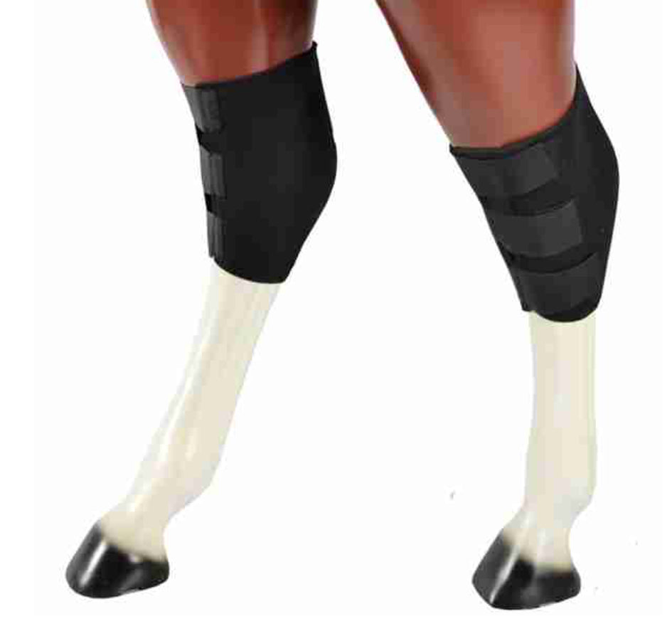 Jack’s Hock Sweats