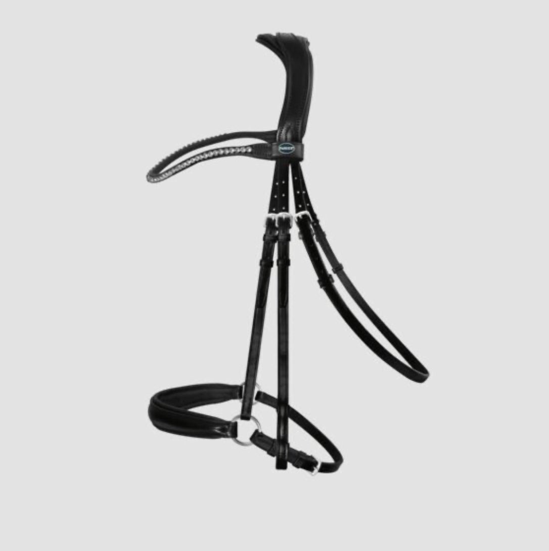Passier Confidence Bridle - Horse & Hound Tack Shop 