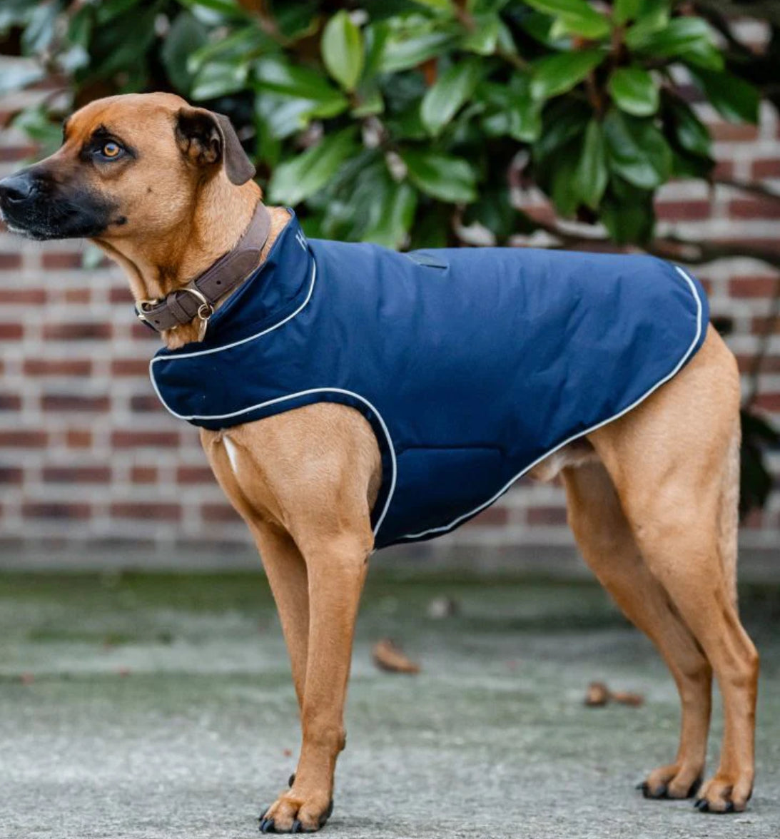Horseware Signature Padded Dog Coat - 100g - Horse &amp; Hound Tack Shop 