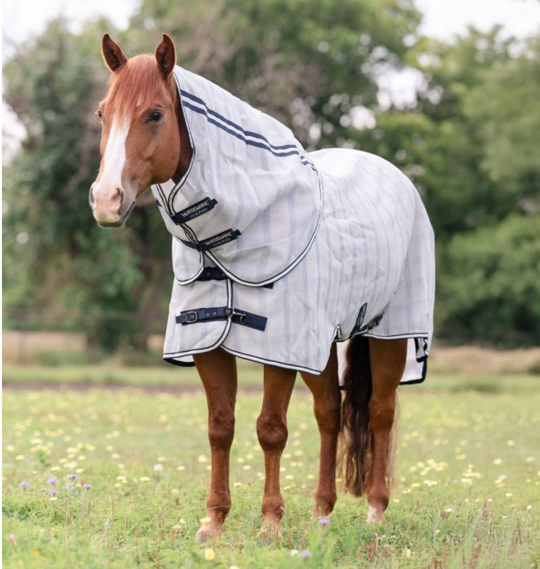 Horseware Newmarket Quarter Horse Plus Fly Sheet - Horse & Hound Tack Shop 