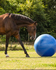 QHP Horse Paddock Ball