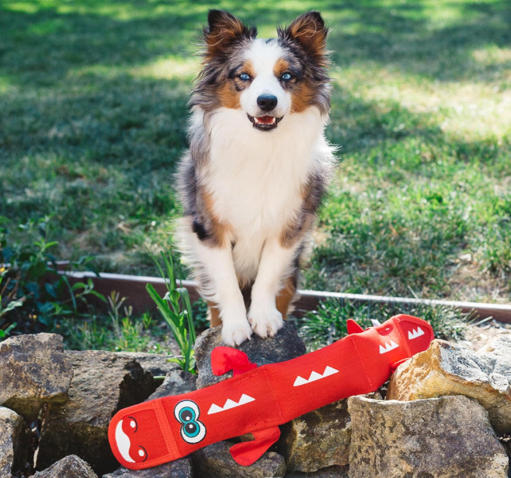 Outward Hound Fire Biterz Dragon
