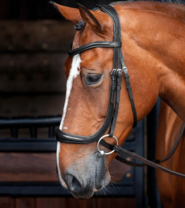 Shires Rapida Velociti Ergonomic Caveson Bridle