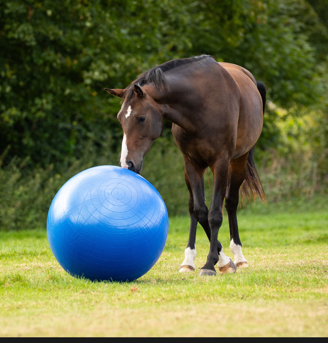 QHP Horse Paddock Ball