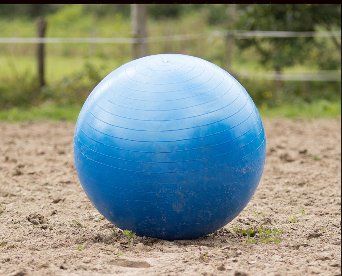 QHP Horse Paddock Ball