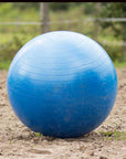 QHP Horse Paddock Ball