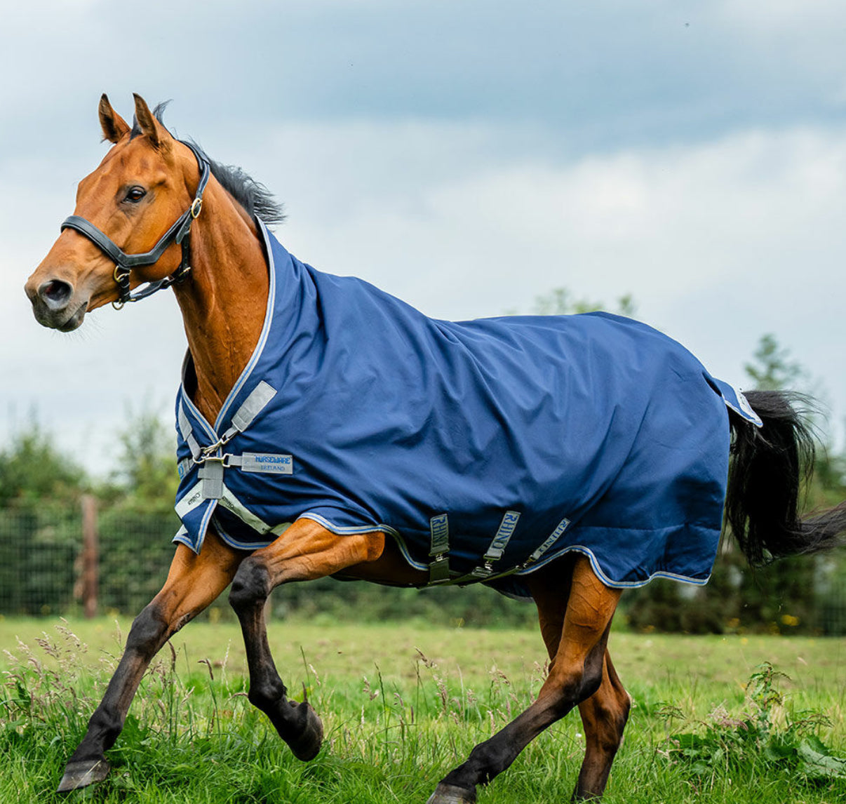 Horseware Rhino Wug Turnout Sheet 0g