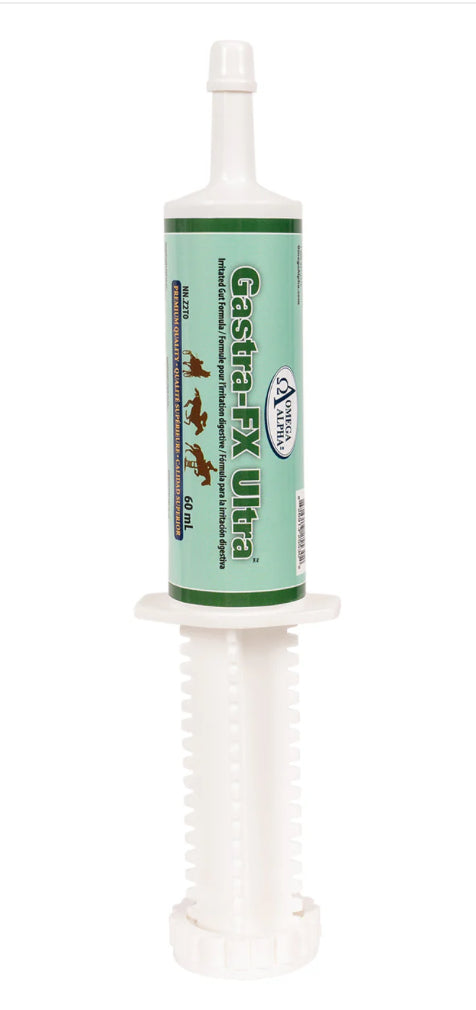 Omega Alpha Gastra FX Ultra 60cc - Horse & Hound Tack Shop 