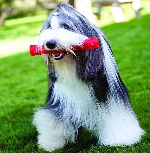 Kong Squeezz Stick