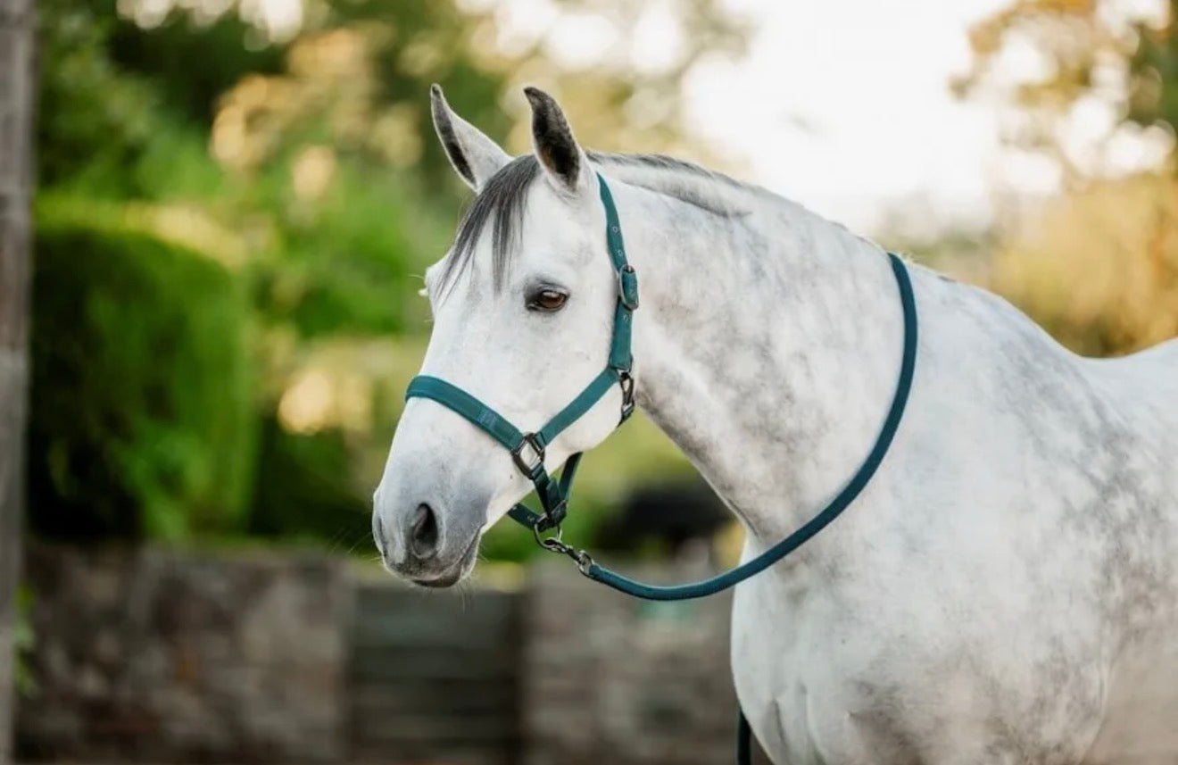 Horseware® Halter & Leadrope - Horse & Hound Tack Shop 