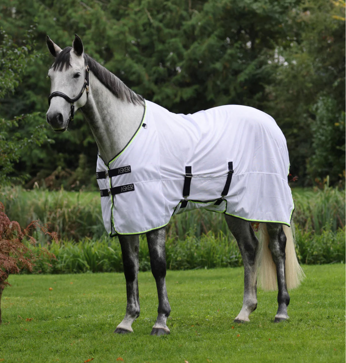 Shires Asker Fly Sheet (neck not included)
