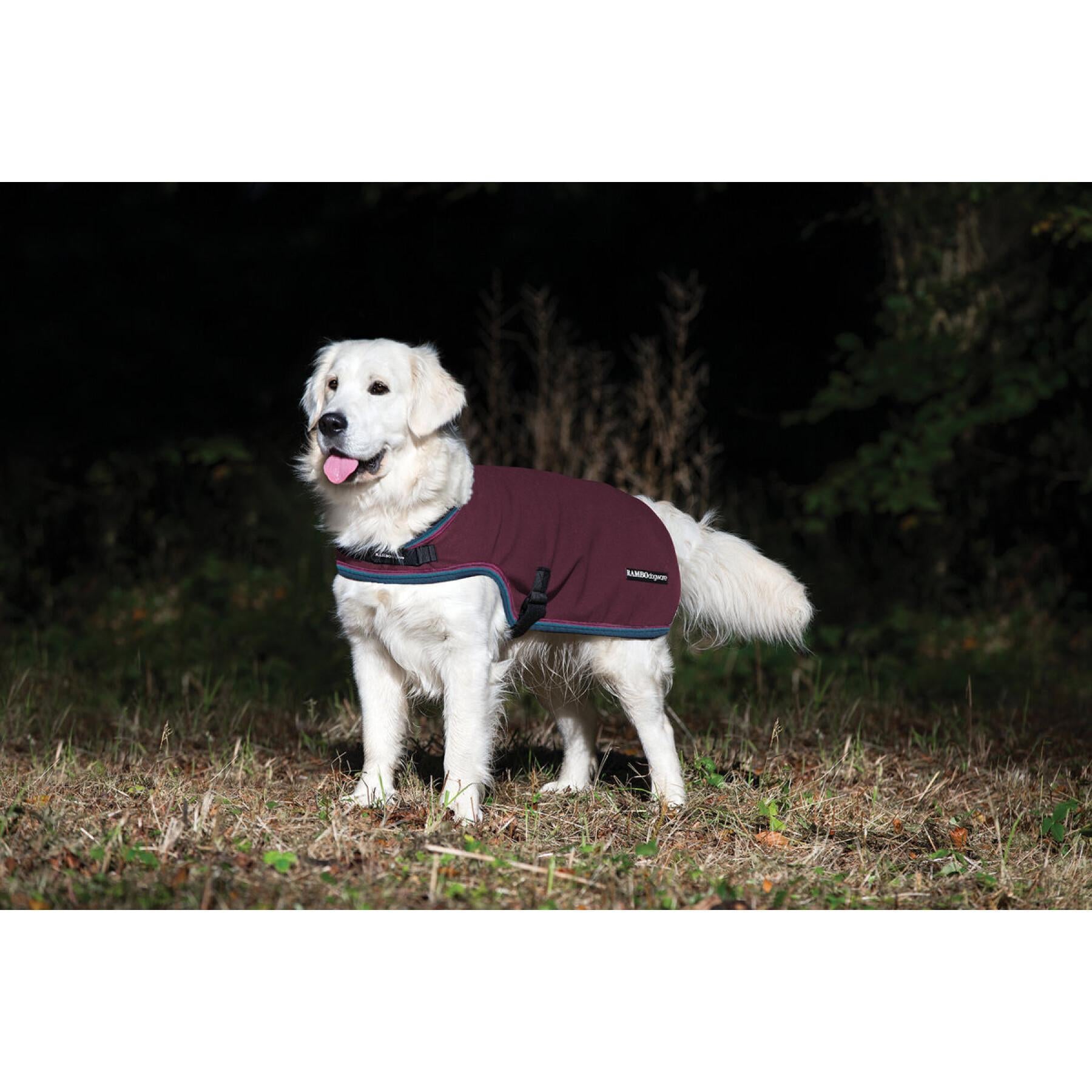 Rambo® Waterproof Fleece Dog Rug – Horse & Hound Tack Shop