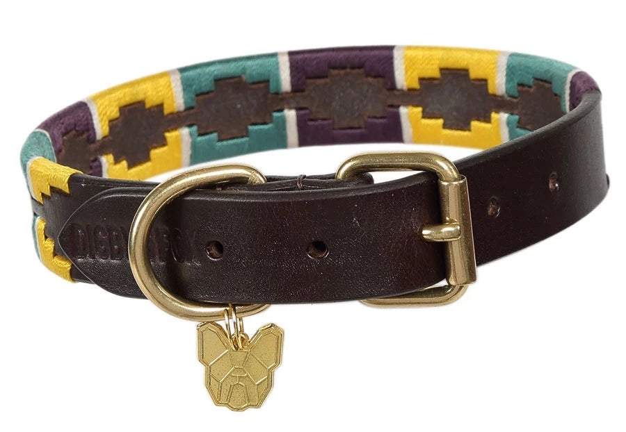 Digby and Fox Drover Collar - Horse & Hound Tack Shop 