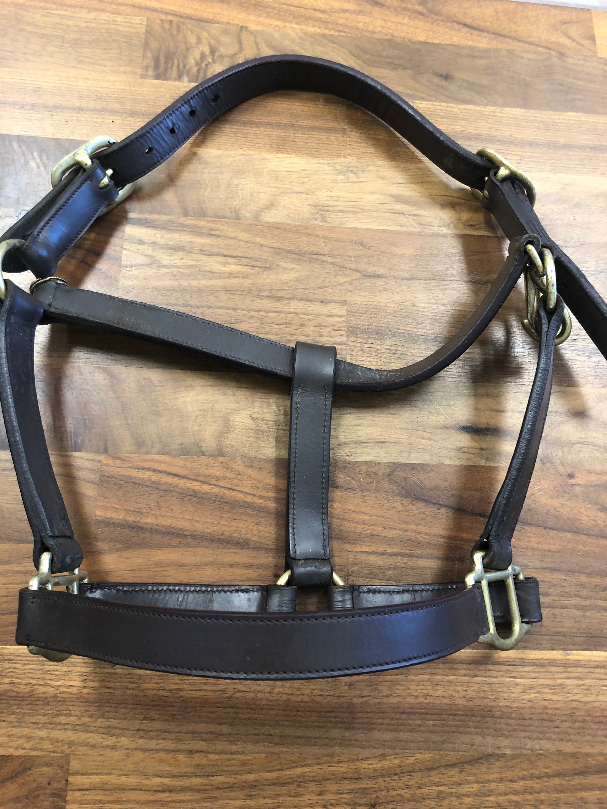 Plain Brown Leather Halter - Cob