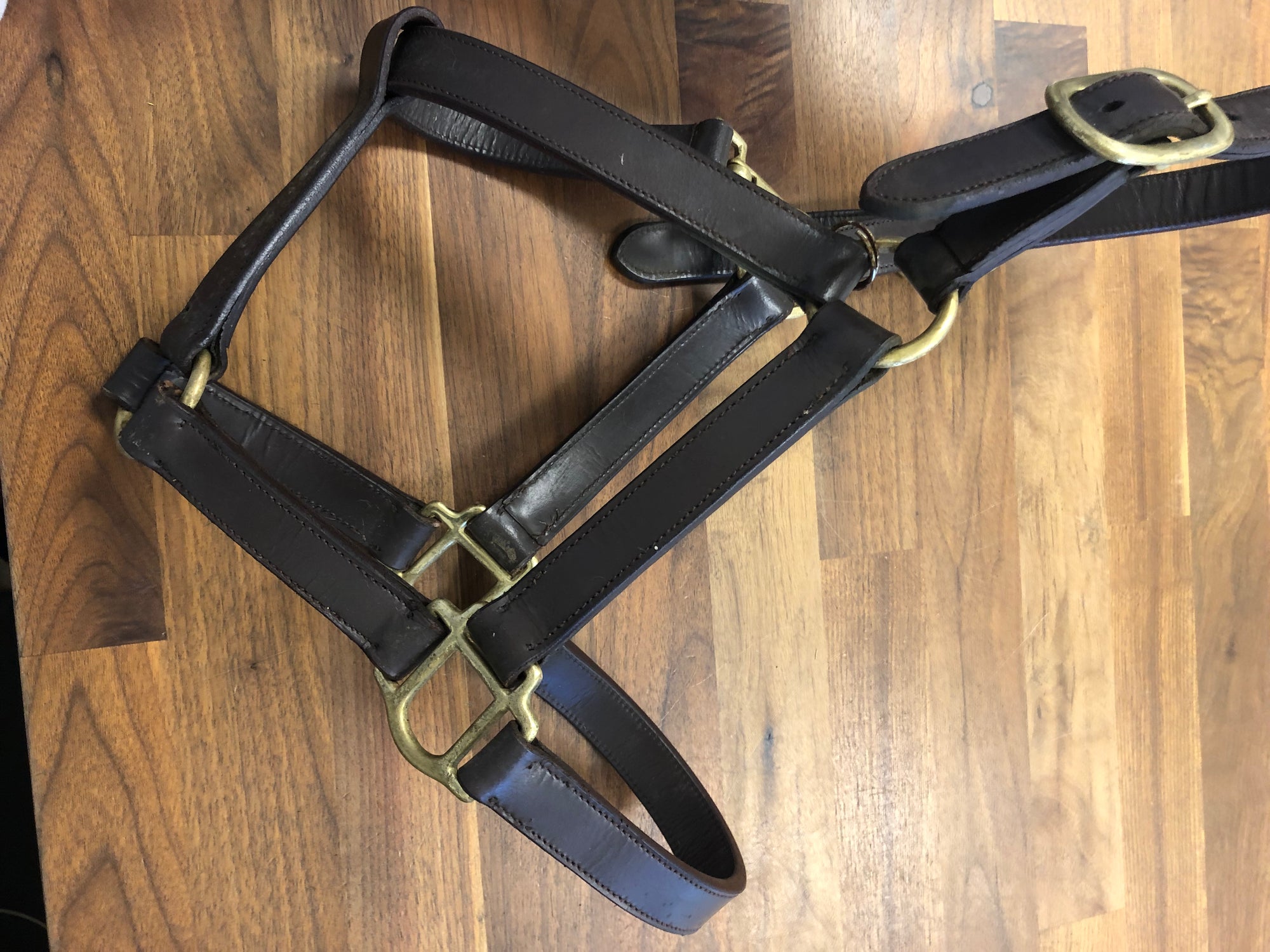 Plain Brown Leather Halter - Cob