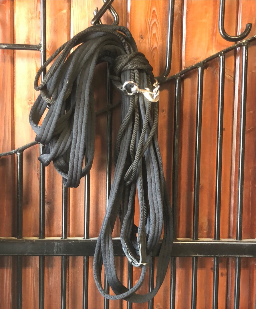Fine Used Shires Lunging Training Aid