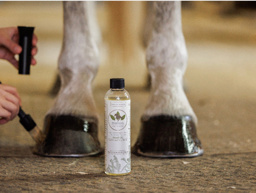 PURVIDA HEALTHY HORSE Purvida Polish - Natural Hoof Oil